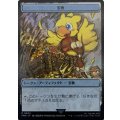 (木製ケース)(ステンレス製)宝物トークン《日本語》【PRM】