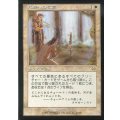 [EX+]死者への敬意/Honor the Fallen《日本語》【MMQ】