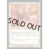 [EX+]軍旗の旗手/Standard Bearer《日本語》【APC】