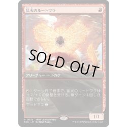 画像1: (0024)猛火のルートワラ/Blazing Rootwalla《日本語》【SCH】