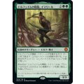 (FOIL)エルフェイムの精鋭、イマリール/Imaryll, Elfhame Elite《日本語》【GN3】