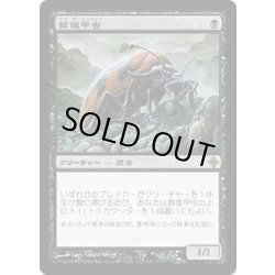 画像1: [EX+]葬儀甲虫/Mortician Beetle《日本語》【ROE】