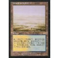[PLD]溢れかえる岸辺/Flooded Strand《日本語》【ONS】
