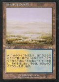 [PLD]溢れかえる岸辺/Flooded Strand《日本語》【ONS】