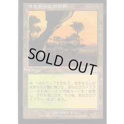 画像1: [HPLD]吹きさらしの荒野/Windswept Heath《日本語》【ONS】