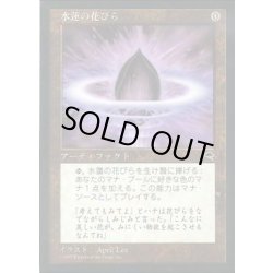 画像1: 水蓮の花びら/Lotus Petal《日本語》【TMP】