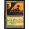 [PLD]吹きさらしの荒野/Windswept Heath《日本語》【ONS】