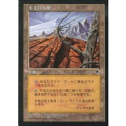 画像1: [EX+]不毛の大地/Wasteland《日本語》【TMP】