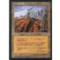[POOR]不毛の大地/Wasteland《日本語》【TMP】
