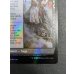 画像11: [EX+](ダブルレインボウFOIL)シェオルドレッド/Sheoldred《英語》【MOM】 (11)