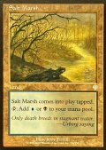 [EX+]塩の湿地/Salt Marsh《英語》【INV】