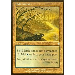 画像1: [EX+]塩の湿地/Salt Marsh《英語》【INV】