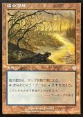 [EX+]塩の湿地/Salt Marsh《日本語》【INV】