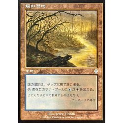画像1: [EX+]塩の湿地/Salt Marsh《日本語》【INV】