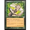 [EX+]樹根スリヴァー/Root Sliver《日本語》【LGN】