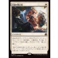 (FOIL)忠誠の教示者/Loyal Tutor《日本語》【FRA】