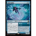 変数の追跡者/Variable Chaser《日本語》【FRA】