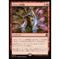 アジャニの苦悶/Ajani's Anguish《日本語》【FRA】