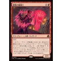 棘唱の魔道士/Stingcaster Mage《日本語》【FRA】