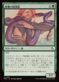 秘儀の両頭蛇/Arcane Amphisbaena《日本語》【FRA】
