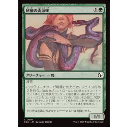 画像1: 秘儀の両頭蛇/Arcane Amphisbaena《日本語》【FRA】