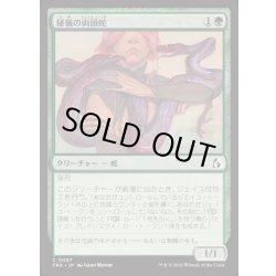 画像1: [EX+]秘儀の両頭蛇/Arcane Amphisbaena《日本語》【FRA】