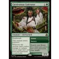 (FOIL)(0100)人喰い植物の耕作者/Carnivorous Cultivator《英語》【FRA】