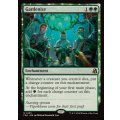 (FOIL)庭園化/Gardenize《英語》【FRA】
