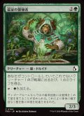 温室の繁殖者/Greenhouse Propagator《日本語》【FRA】