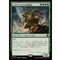 [EX]ヘクスヘイヴンの活性者/Hexhaven Invigorator《日本語》【FRA】