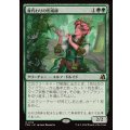 (FOIL)身代わりの形成師/Simulacrum Shaper《日本語》【FRA】