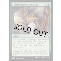 画像1: 救う価値あり/Something Worth Saving《英語》【FRA】