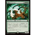 新緑のクラーケン/Verdant Kraken《日本語》【FRA】