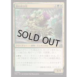 画像1: [EX+]暴れ咲き花/Bloombrute《日本語》【FRA】