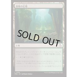 画像1: 畏怖の広場/Formidable Commons《日本語》【FRA】
