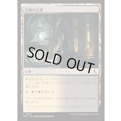 画像1: 詳細の広場/Meticulous Commons《日本語》【FRA】