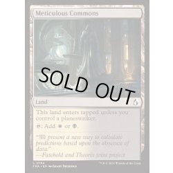 画像1: 詳細の広場/Meticulous Commons《英語》【FRA】