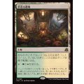 (FOIL)草茂る農地/Overgrown Farmland《日本語》【FRA】