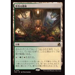 画像1: (FOIL)草茂る農地/Overgrown Farmland《日本語》【FRA】