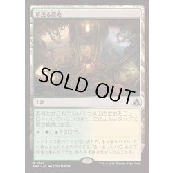 画像1: [EX+](FOIL)草茂る農地/Overgrown Farmland《日本語》【FRA】
