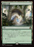 乱動する梢/Roiling Canopy《日本語》【FRA】