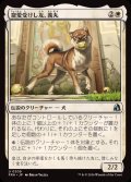 寵愛受けし友、義丸/Yoshimaru, Beloved Companion《日本語》【FRA】