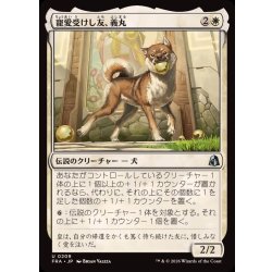 画像1: 寵愛受けし友、義丸/Yoshimaru, Beloved Companion《日本語》【FRA】