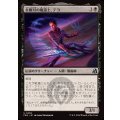 金剛刃の魔道士、テヨ/Teyo, Diamondblade Mage《日本語》【FRA】