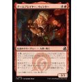 チームプレイヤー、ウィンター/Winter, Team Player《日本語》【FRA】
