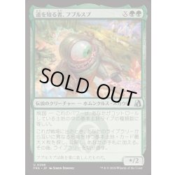 画像1: [EX+](FOIL)道を知る者、フブルスプ/Fblthp, Knows the Way《日本語》【FRA】