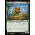 結節点、おたから/Loot, the Nexus《日本語》【FRA】