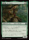 (FOIL)保全者、マーウィン/Marwyn, the Preserver《日本語》【FRA】