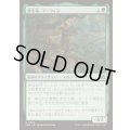 [EX+]保全者、マーウィン/Marwyn, the Preserver《日本語》【FRA】