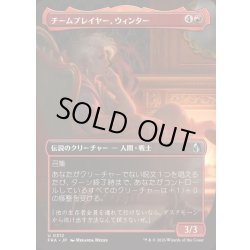 画像1: (フルアート)チームプレイヤー、ウィンター/Winter, Team Player《日本語》【FRA】